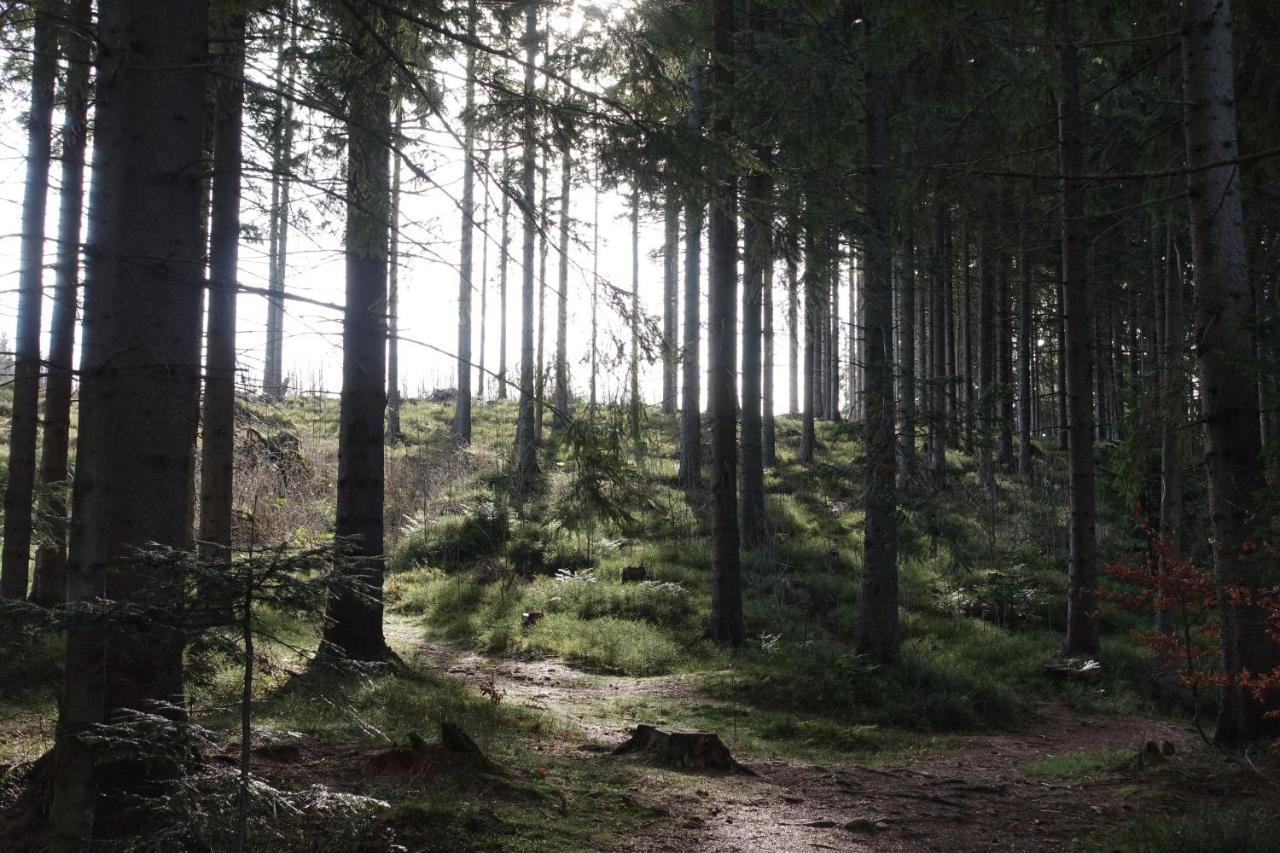 Kamzik Donovaly Lägenhet Exteriör bild